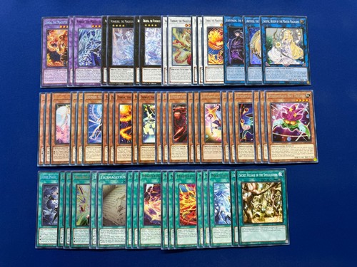 Complete magistus - -,